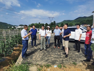 遵義市農(nóng)業(yè)農(nóng)村局 以技術(shù)服務(wù)為抓手，賦能現(xiàn)代農(nóng)業(yè)高質(zhì)量發(fā)展